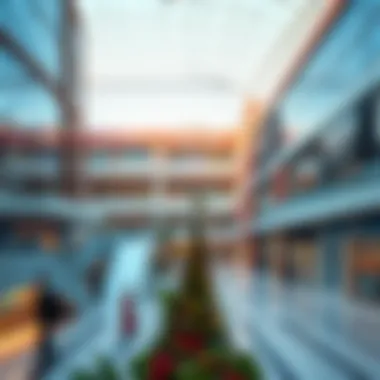 Affordability and Accessibility: The Cheapest Malls in Dubai Summary Affordability and Accessibility: The Cheapest Malls in Dubai Summary