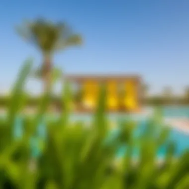 Amenities available at Al Mubazzarah Green Pool including seating and relaxation areas