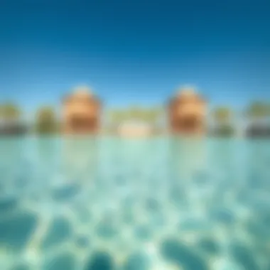 Close-up of the tranquil waters of Al Mubazzarah Green Pool