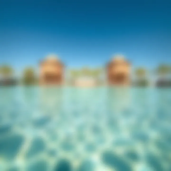 Close-up of the tranquil waters of Al Mubazzarah Green Pool