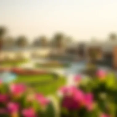 Modern Amenities in Al Shaab Village Modern amenities in Al Shaab Village including parks and recreational areas