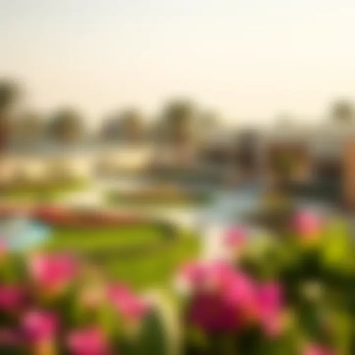 Modern Amenities in Al Shaab Village Modern amenities in Al Shaab Village including parks and recreational areas