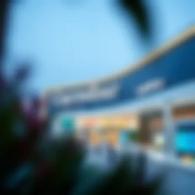 An In-Depth Analysis of Carrefour in Damac Hills Summary