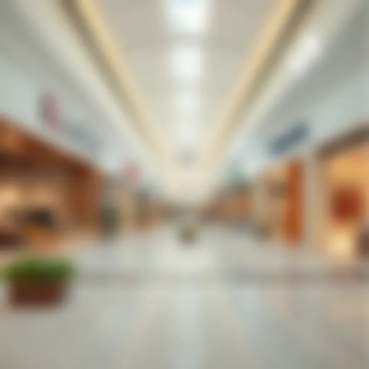 Interior shot of Barari Mall highlighting unique retail spaces