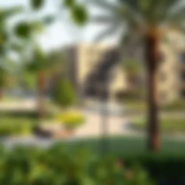 Community Park in a Damac Development: Urban Integration A community park integrated within a Damac development, illustrating urban planning