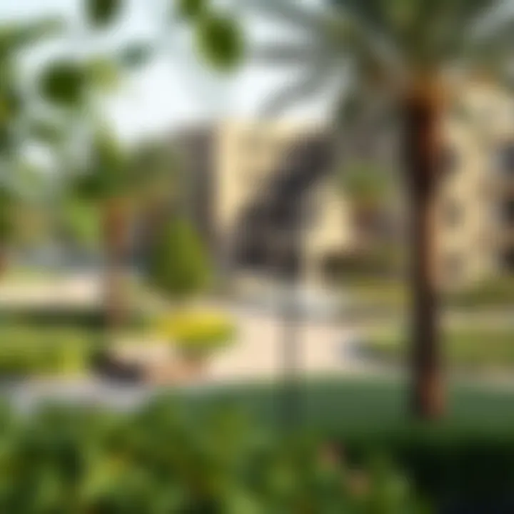 Community Park in a Damac Development: Urban Integration A community park integrated within a Damac development, illustrating urban planning