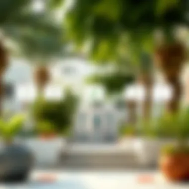 Illustration of the Ejari registration process