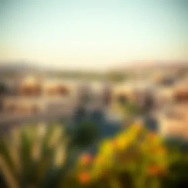 Panoramic view of Abu Hail showcasing partitioned properties