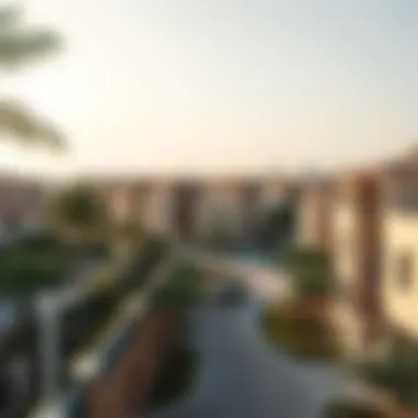 A scenic view of a budget-friendly neighborhood in Dubai.
