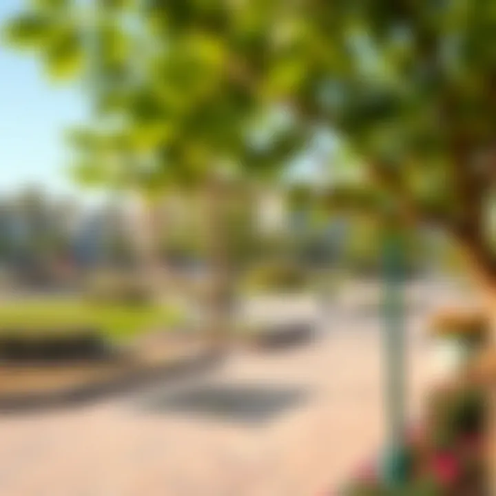 Family-friendly parks and recreational spaces in the Al Mirdif Avenue community