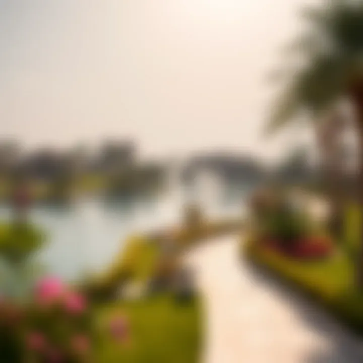 A serene lake surrounded by park amenities