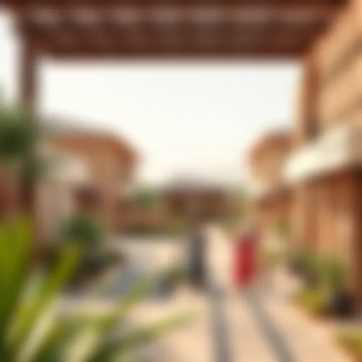 Vibrant community lifestyle in Arabian Ranches surrounding Anya 2