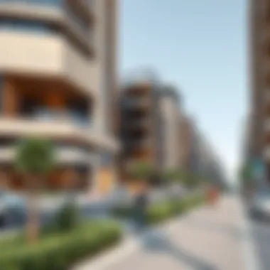 Exploring Barak Avenue: A Comprehensive Guide to Dubai's Real Estate Landscape Summary