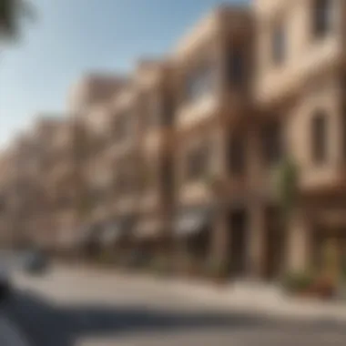 Architectural Diversity of Barjeel Street A panoramic view of Barjeel Street showcasing its architectural diversity