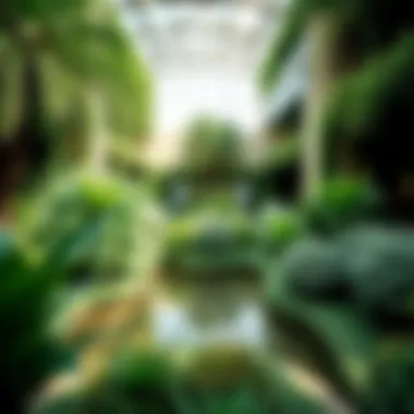 The intricate design and lush greenery of the Butterfly Garden