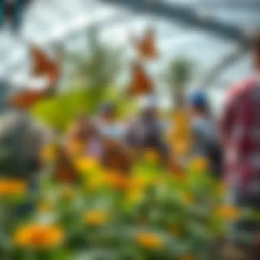 Visitors admiring the diverse species of butterflies at the garden