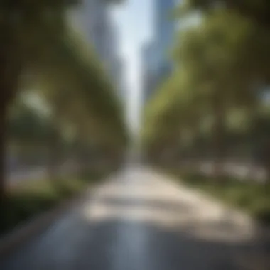 Pathways and Recreational Areas in DIFC Central Park Stunning pathways and recreational areas within DIFC Central Park, inviting relaxation.