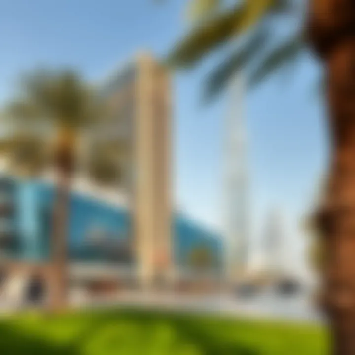 Exploring Dubai: A Guide to Free Activities Summary
