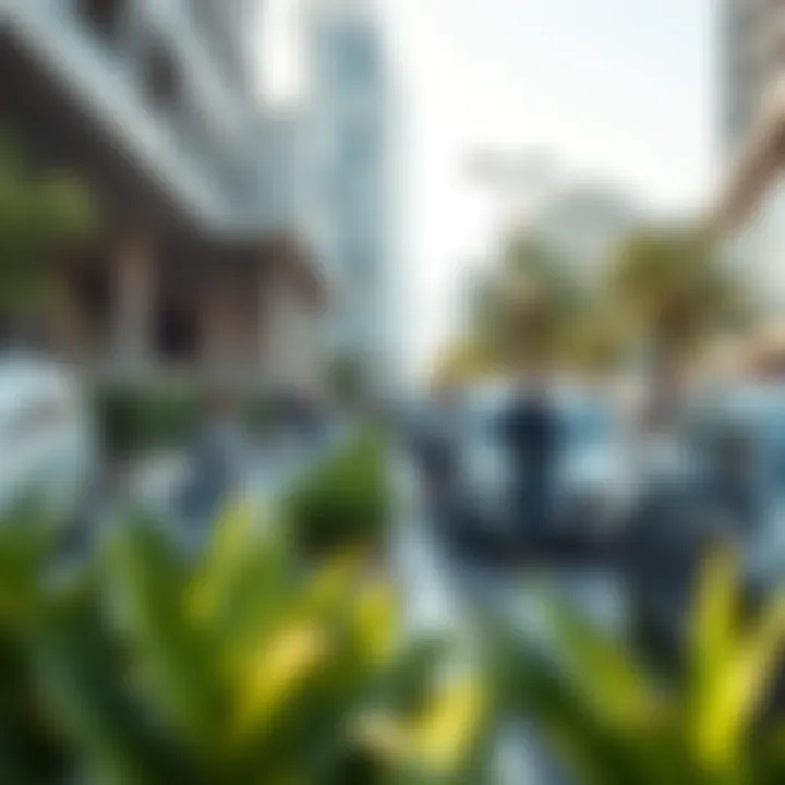 Community Engagement on Free Parking Day Residents enjoying their day out in Dubai on Free Parking Day