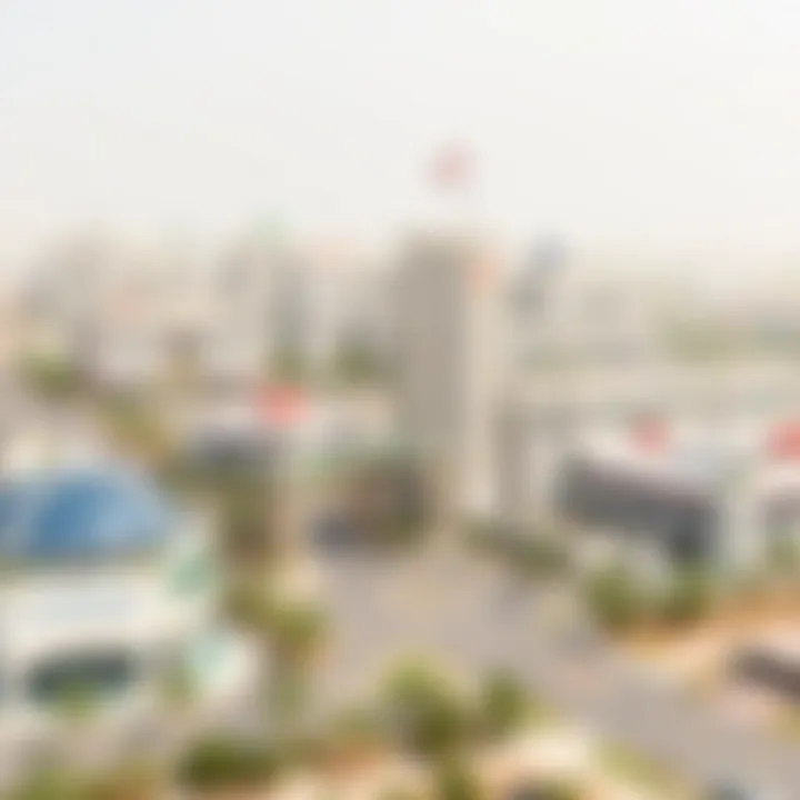 Understanding the Regulatory Landscape of Dubai Free Zones Regulatory framework of Dubai Free Zones