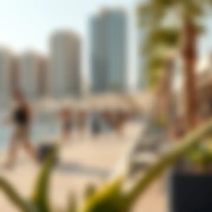 Vibrant Lifestyle at Dubai Promenade Vibrant lifestyle scene at Dubai Promenade featuring outdoor activities
