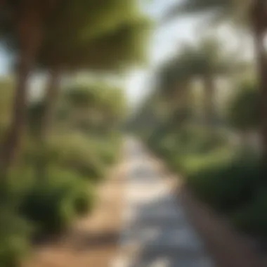 Tranquil Walking Trail in Dubai A peaceful walking trail amidst greenery