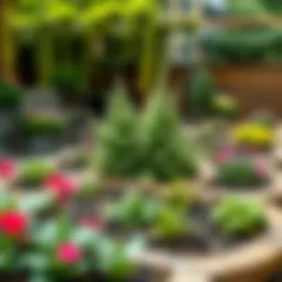 Exploring Garden Bed Spaces: Opportunities and Techniques Introduction