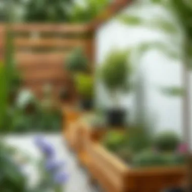 Exploring Garden Bed Spaces: Opportunities and Techniques Summary Exploring Garden Bed Spaces: Opportunities and Techniques Summary