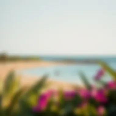 Notable Exploring Hudayriat Public Beach: A Comprehensive Guide