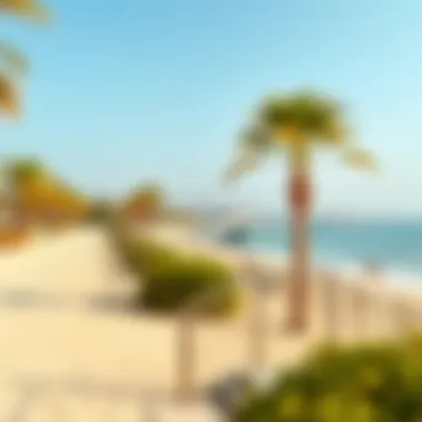 Exploring Hudayriat Public Beach: A Comprehensive Guide Summary