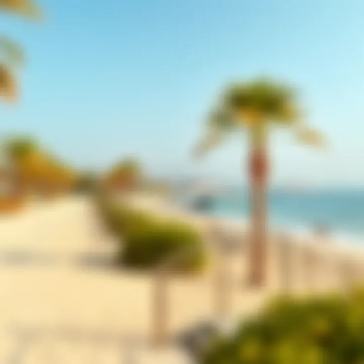 Exploring Hudayriat Public Beach: A Comprehensive Guide Summary