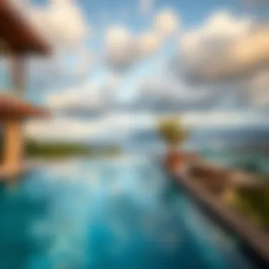 Exploring Infinity Pools: A Comprehensive Look at Their Rising Popularity Introduction