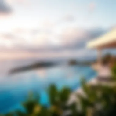 Notable Exploring Infinity Pools: A Comprehensive Look at Their Rising Popularity