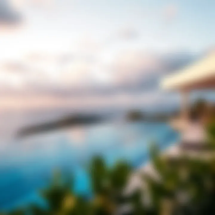 Notable Exploring Infinity Pools: A Comprehensive Look at Their Rising Popularity