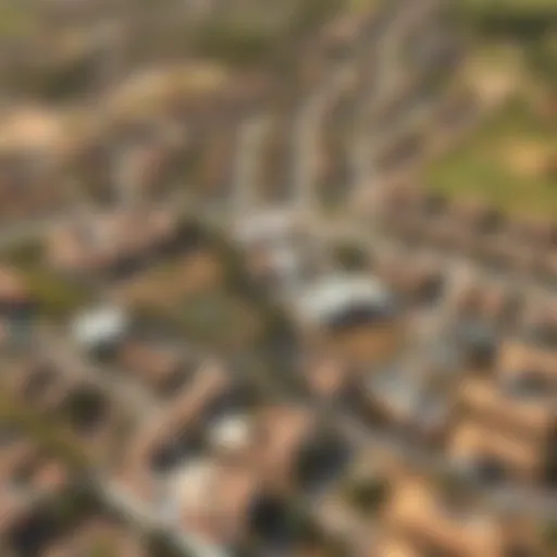 Aerial view of the La Rosa community