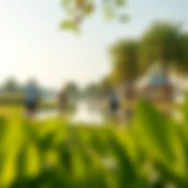 Recreational Activities at Love Lake Qudra Visitors enjoying recreational activities at Love Lake Qudra, surrounded by lush greenery