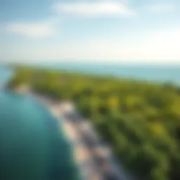 Aerial view showcasing the lush mangroves along the coastline of the UAE.