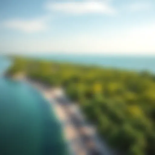 Aerial view showcasing the lush mangroves along the coastline of the UAE.