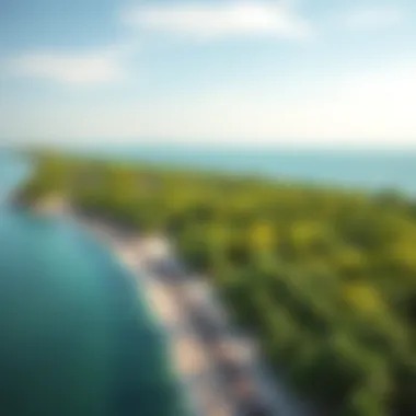 Aerial View of Mangrove Beach Aerial view showcasing the lush mangroves along the coastline of the UAE.