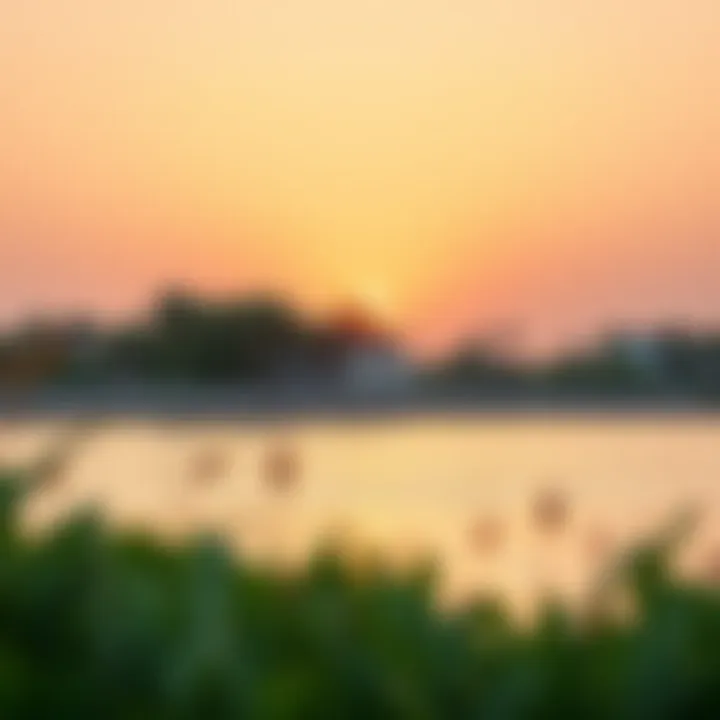 Sunset View at Mangrove Beach Sunset view over the tranquil waters of Mangrove Beach highlighting its beauty.