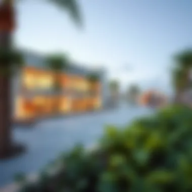 Community amenities in Nad Al Shiba Gardens with modern facilities