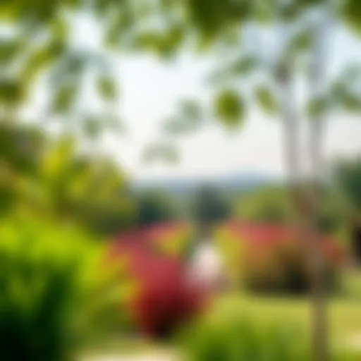 Vibrant landscape of Nad Al Shiba Gardens showcasing lush greenery