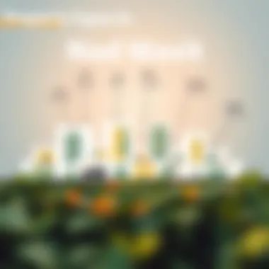 Property Types in Nad Wasit Infographic on property types in Nad Wasit