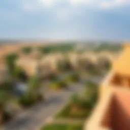 Scenic view of Nad Wasit showcasing residential buildings