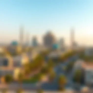 A scenic view of Al Rashidiya, showcasing the vibrant cityscape