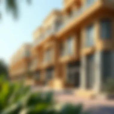 Surrounding neighborhood of صحارى مول highlighting investment potential