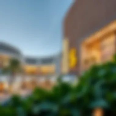Exploring Shops in Dubai Outlet Mall: A Comprehensive Overview Summary