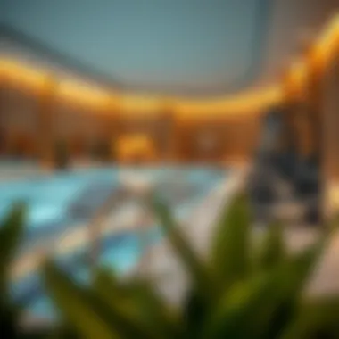 Exceptional Recreational Facilities at Danube Elitz 2 Recreational amenities available at Danube Elitz 2, including pool and gym