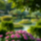 Lush greenery in Dubai's parks