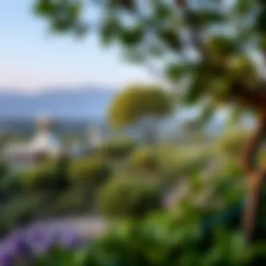 A panoramic view of the lush landscapes in Kathura Reserve